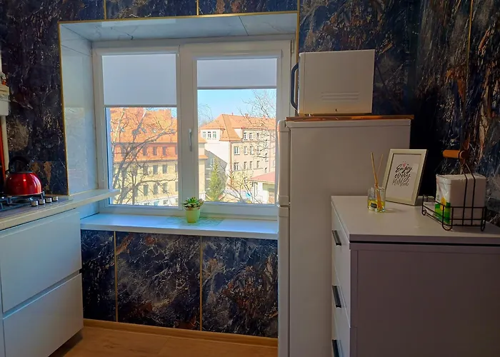 Parko Apartamentai Self Check In